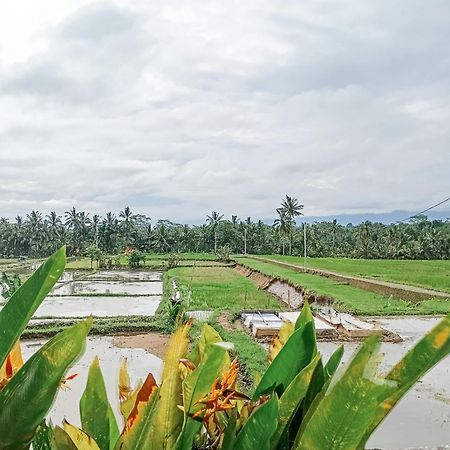 Nyoman Sandat House 1 Ubud  Exterior photo
